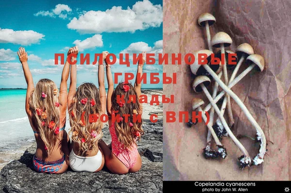 гидра Абаза