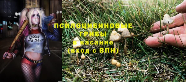 гидра Абаза