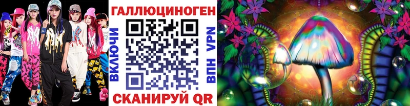 сколько стоит  Избербаш  Галлюциногенные грибы Psilocybe 